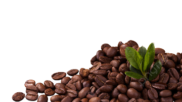 coffee beans